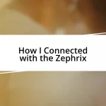 How I Connected with the Zephrix