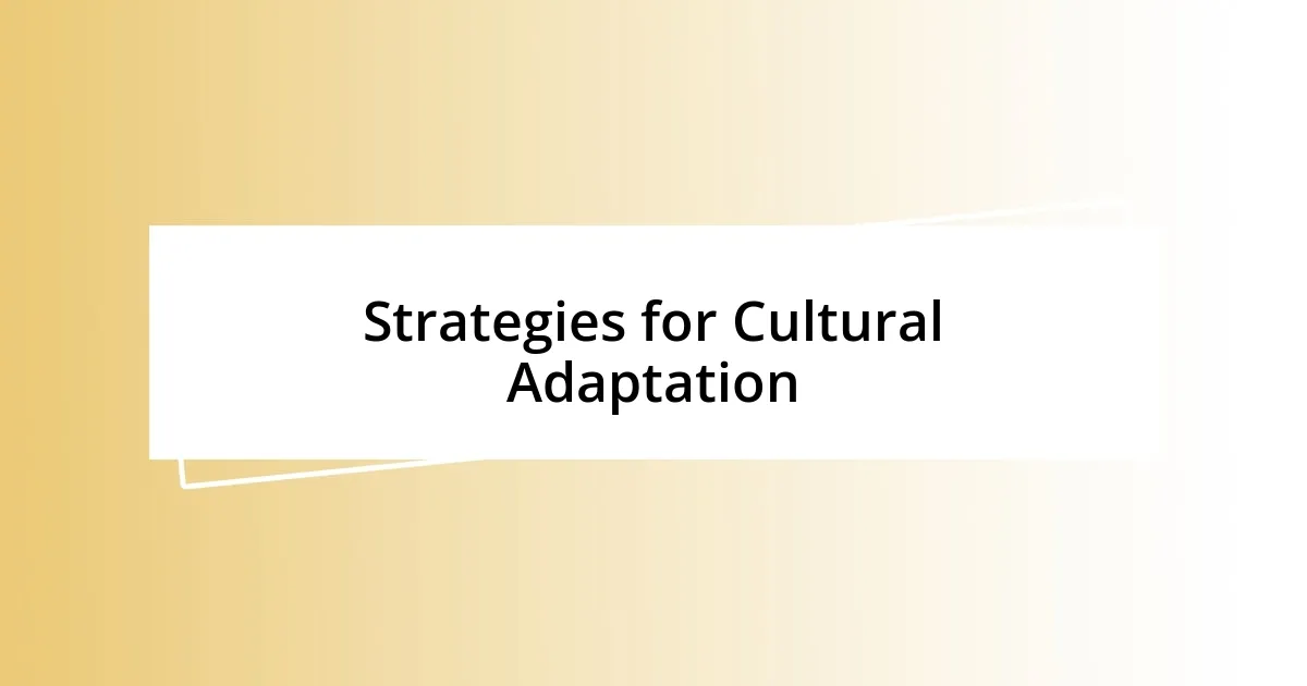 Strategies for Cultural Adaptation