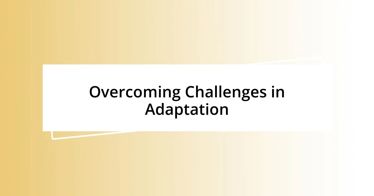 Overcoming Challenges in Adaptation