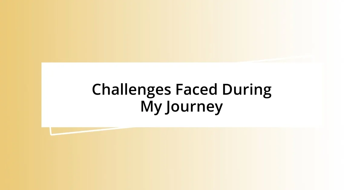 Challenges Faced During My Journey