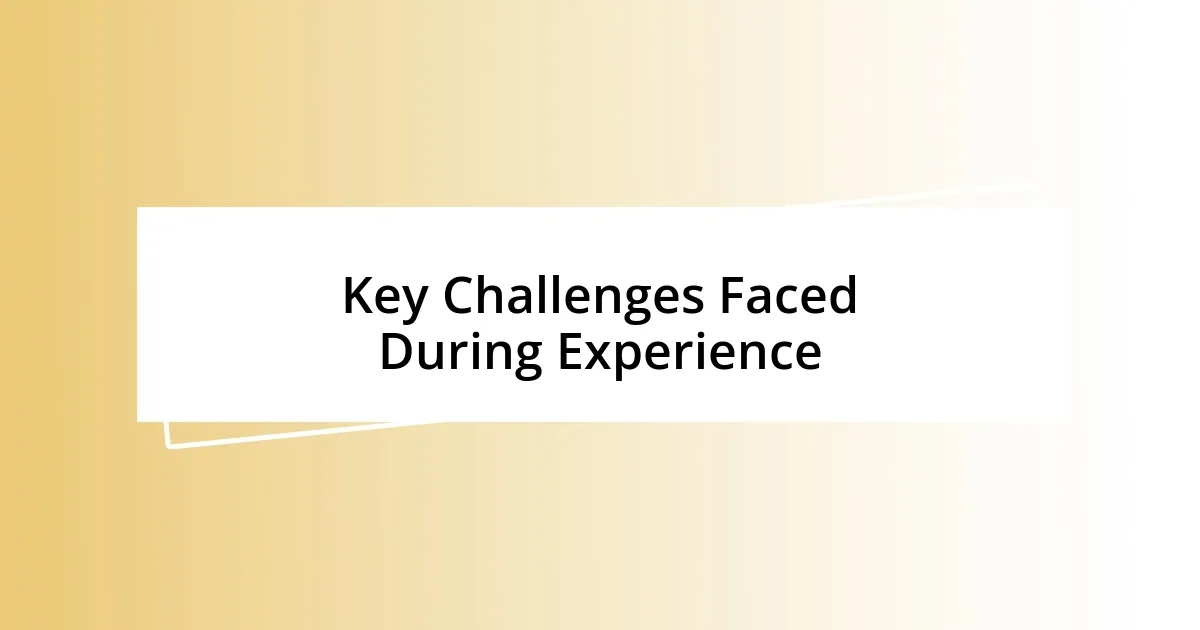 Key Challenges Faced During Experience